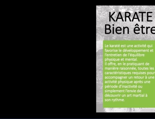 Nouveauté : Karaté bien-être