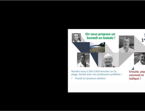 Une dernière sortie pour clôturer l’année …