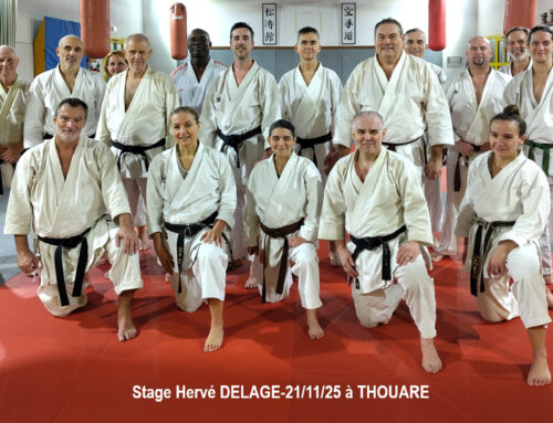 Stages de karaté avec Hervé DELAGE – 8ème dan, le 21 nov. à Thouaré et le 22 nov. 2025 à La Chapelle Sur Erdre