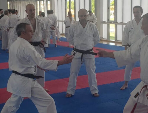 Préparation aux grades, Hugues POISSONNEAU intervient ….